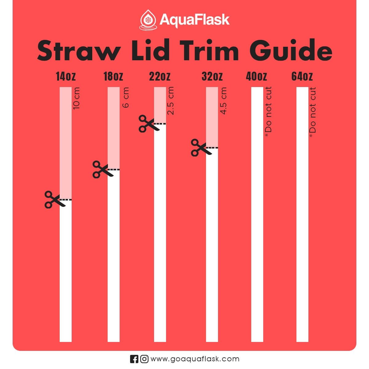 Basic Straw Lid